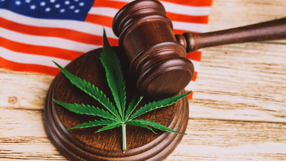 Understand In Regards To The Cannabis Attorney Rules And Rules within the fitness of California