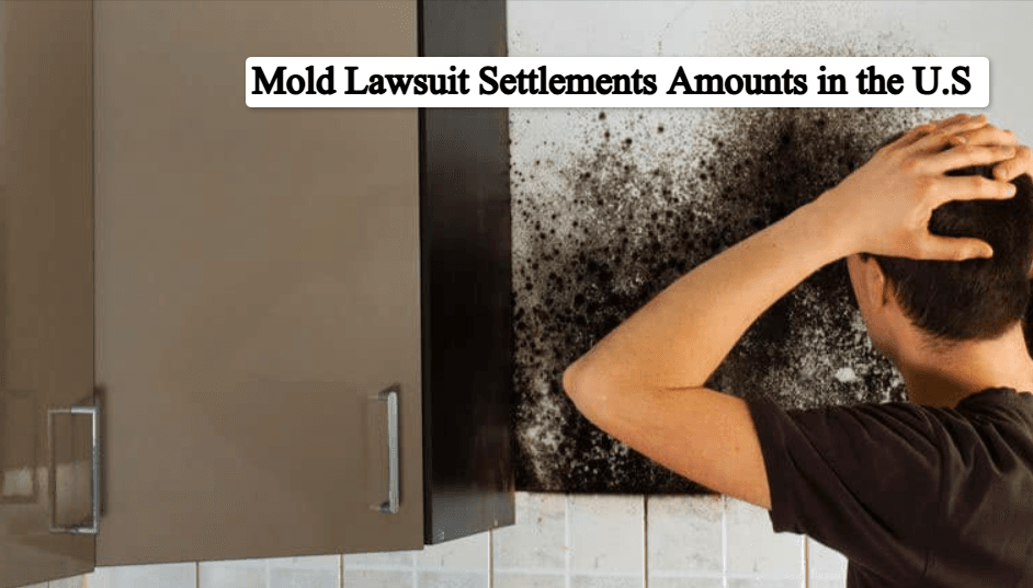 Mold Lawsuit Settlements Amounts in the U.S : Complete Overview