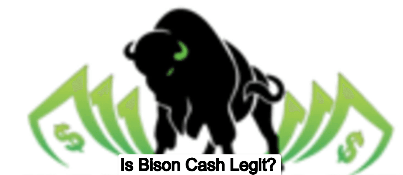 Is Bison Cash Legit? Know all About